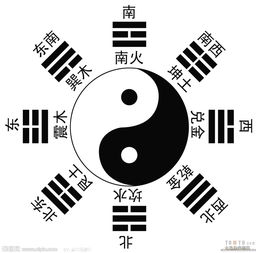 三期三肖必出特肖资料|实地研究解释落实_立体版.3.445