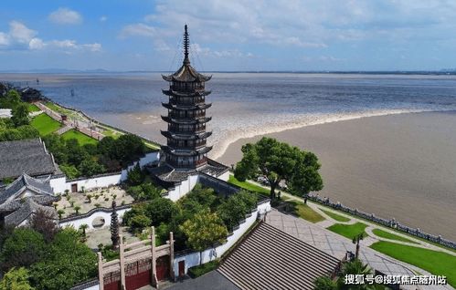 正版全年免费资料大全视频下载|深度解答解释落实_纯净型.1.867