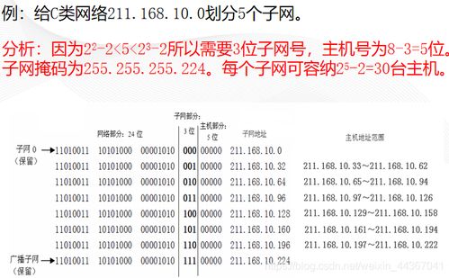 香港正版资料全年资料大全|实践解答解释落实_LP版.0.271