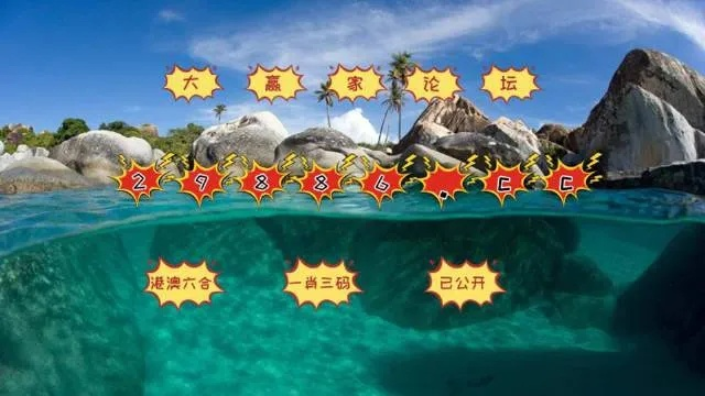 澳门天天彩天天开奖结果查询|深入数据解释落实_tool.2.628