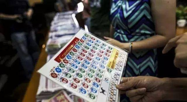 三码中特期期准资料01|真实数据解释落实_CT.9.517