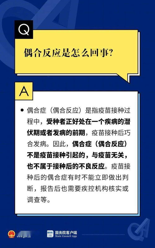 2024新奥门正版资料免费资料|经典解答解释落实_uShop.6.175