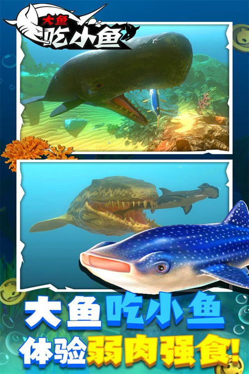 鱼吃鱼免费手游下载最新版-鱼吃鱼免费2024免广告最新版下载2024v.1.89